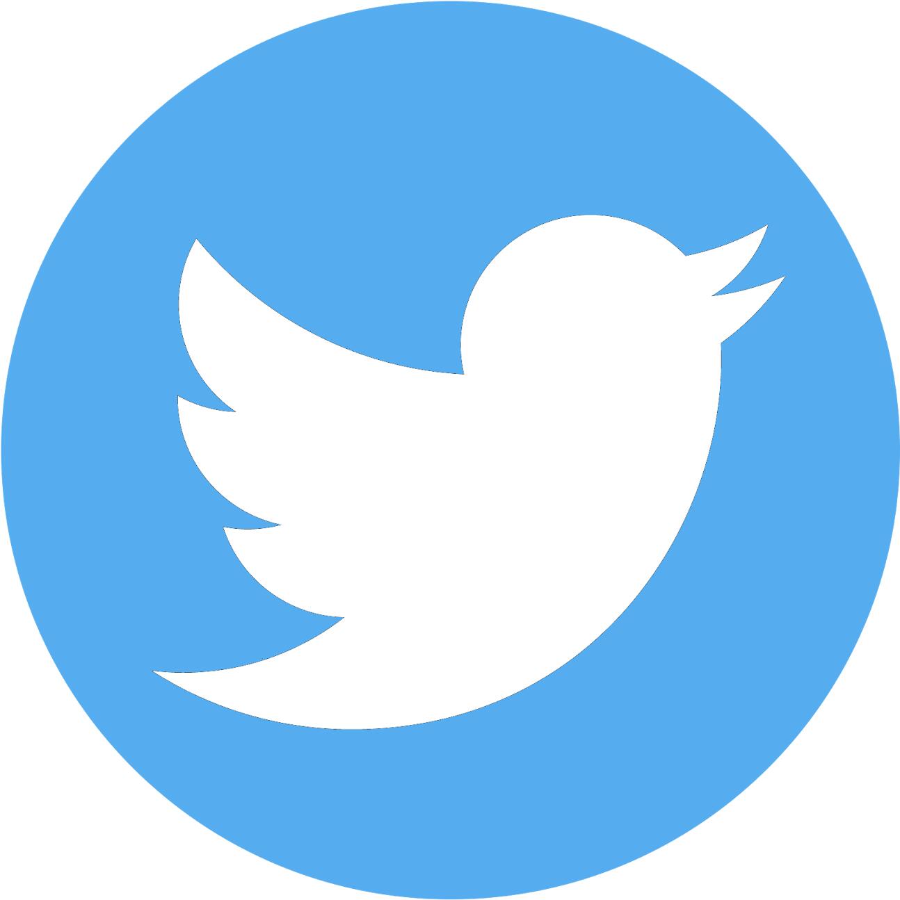 Twitter logo (large)
